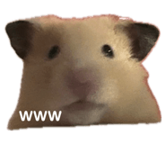 648434070