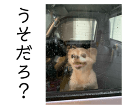 648444096