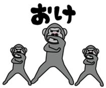 648454380