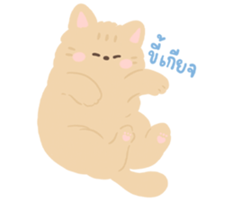 Beloved Pets : Moonoiiarch 17