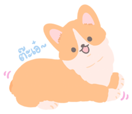 Beloved Pets : Moonoiiarch 33