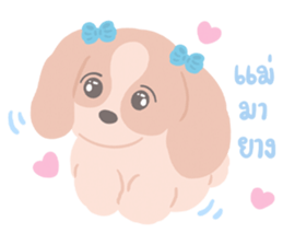 Beloved Pets : Moonoiiarch 35
