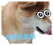 648467456