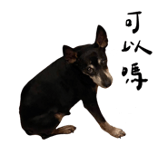 648477276