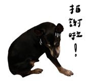 648477277