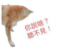 648487153