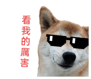 648487155