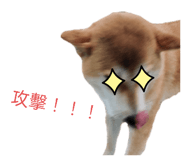 648487157