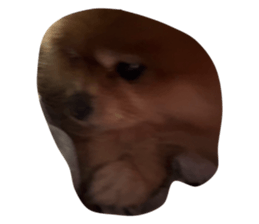 648487263