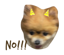 648487293