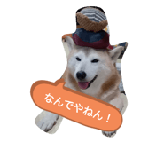 648496714