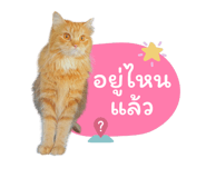 648523367