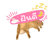 648523370