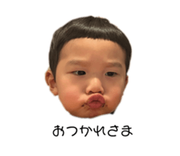 648533037
