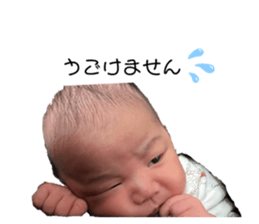 648533040
