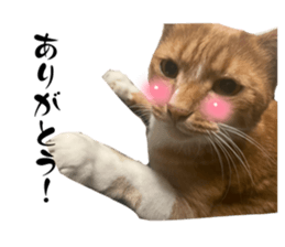648533822