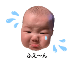 648538660