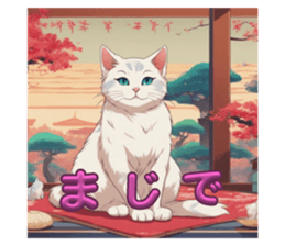 648546143