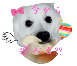 648559153