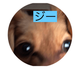 648567314