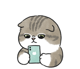 648577031