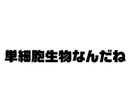 648601358