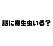 648601373