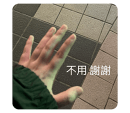 648603307