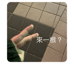 648603325