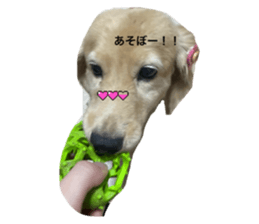 648618724