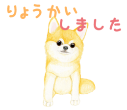 6486238