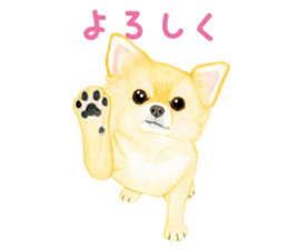 6486263