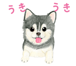 6486269