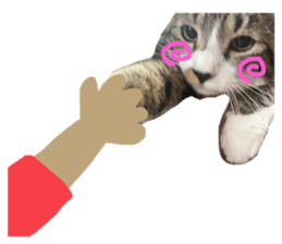 648641284