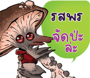 648644558