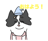 648704025