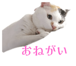 648704220
