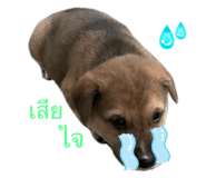 648721482