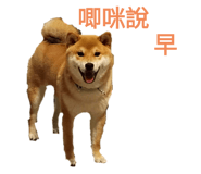 648739702