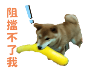 648739703