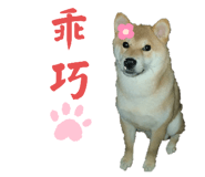 648739706