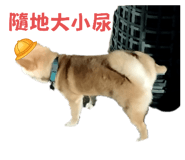 648739712