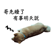 648739717