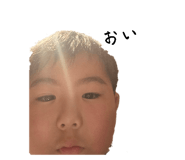 648770035