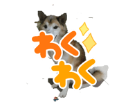 648779414