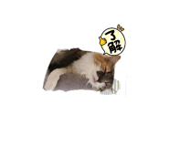 648779416