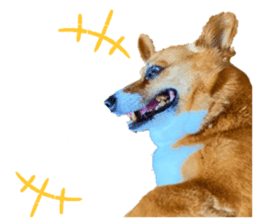 648834418