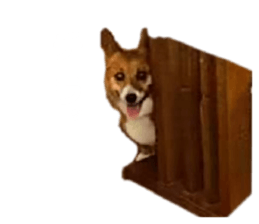 648834420