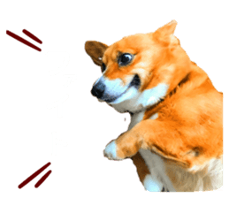 648834423