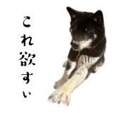 648873686